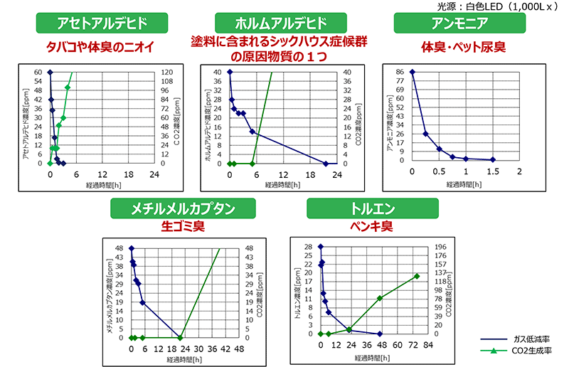 ThreeBond 6735】車内のわずかな光により、消臭・抗菌・抗ウィルス効果