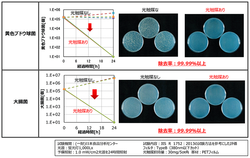 ThreeBond6735 抗菌効果